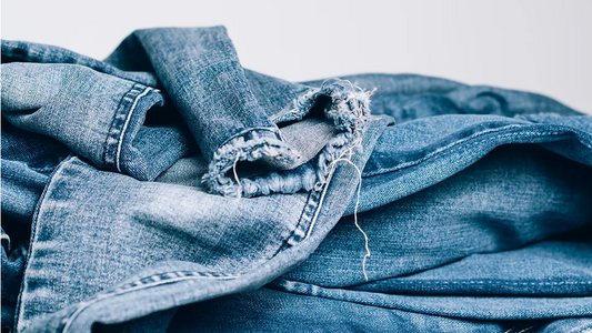 Frame: Elevating Modern Fashion to Timeless Artistry